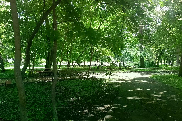 В Кузнецке началось обновление парка «За мороженым»